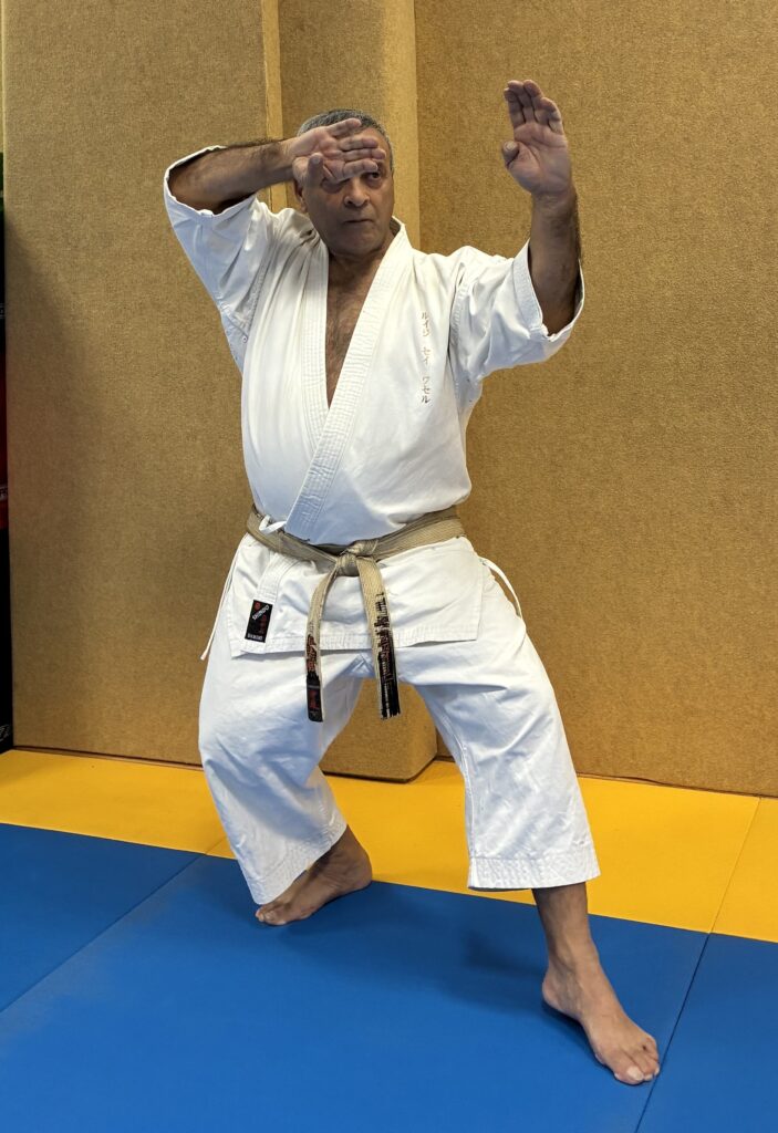 Sensei Luigi Bettini 6. Dan